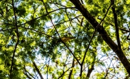 img_1927-8