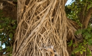 img_6384-137