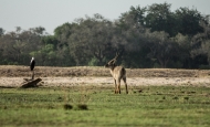 img_6520-232