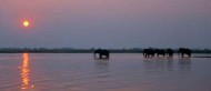 Chilling Out on the Chobe!!