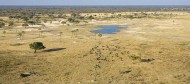Hwange – The Struggle for Survival